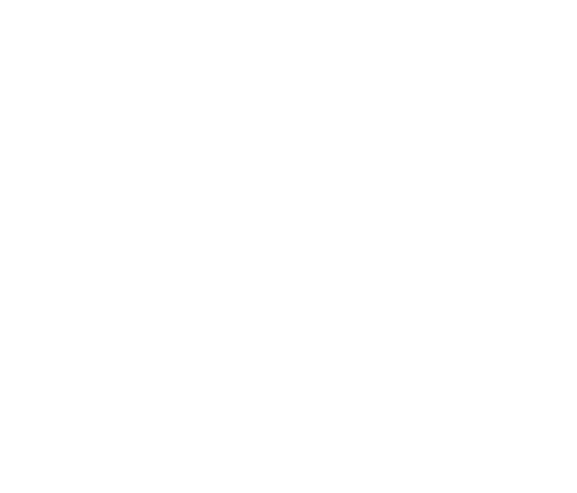 Ozio Group